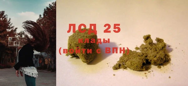 спайс Алексин