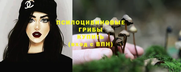 2c-b Алзамай